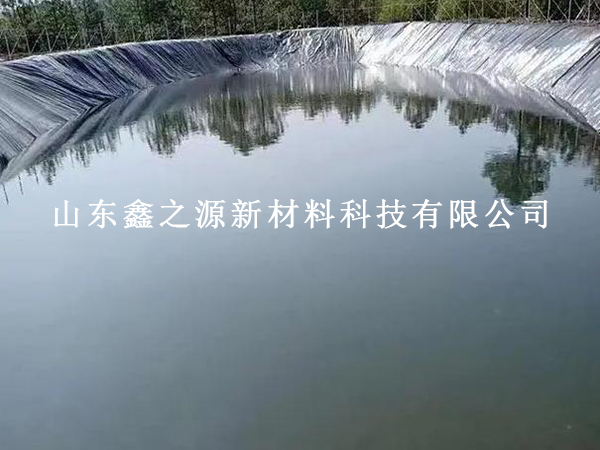 使用鱼塘防渗膜，为鱼儿打造优质生存环境